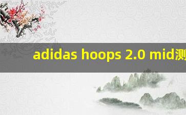 adidas hoops 2.0 mid测评